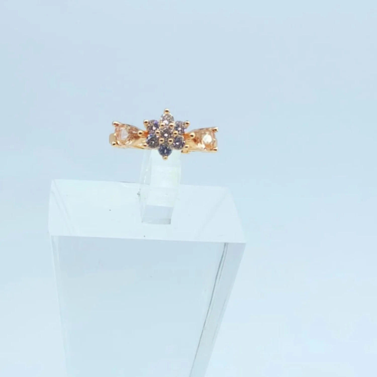 AMZ R-005